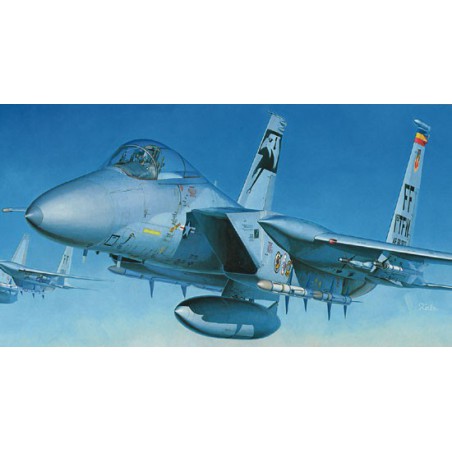 Maquette d'avion en plastique F-15C EAGLE 1/48