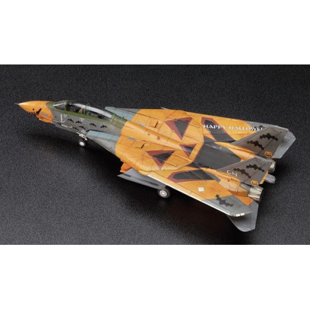 F-14D plastic plane model Tomcat ace 1/72 | Scientific-MHD