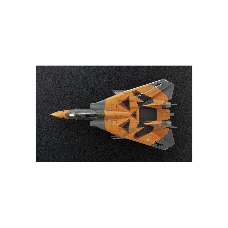 Maquette d'avion en plastique F-14D Tomcat ACE 1/72