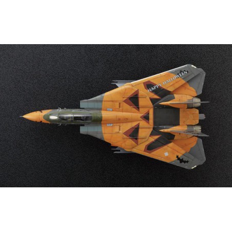 F-14D plastic plane model Tomcat ace 1/72 | Scientific-MHD