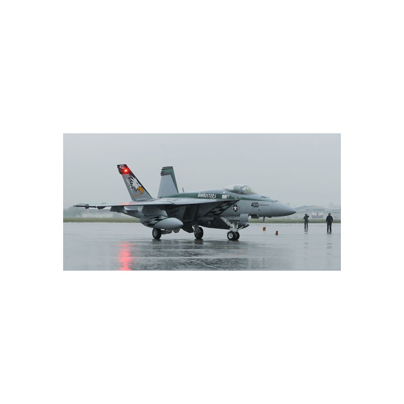 Maquette d'avion en plastique F/A-18E HORNET CHIPPY HO 1/72