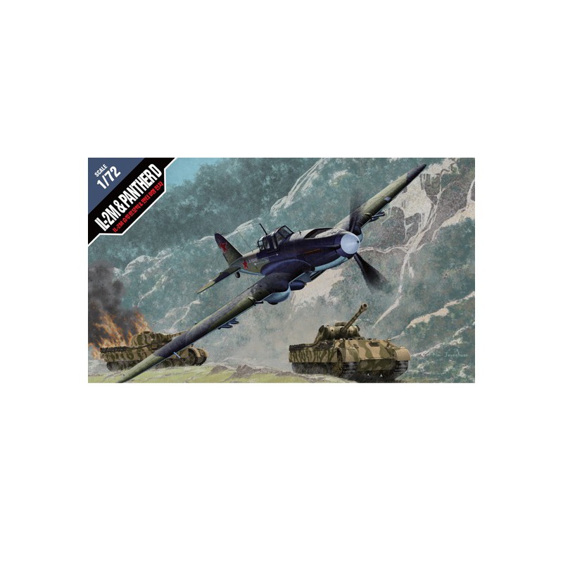 Maquette d'avion en plastique IL-2M & Panther D 1/72 Maquette d'avion en plastique IL-2M & Panther D 1/72