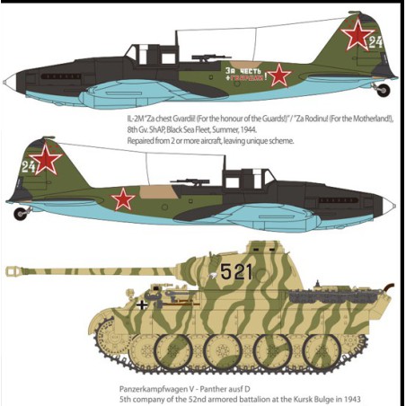 Maquette d'avion en plastique IL-2M & Panther D 1/72