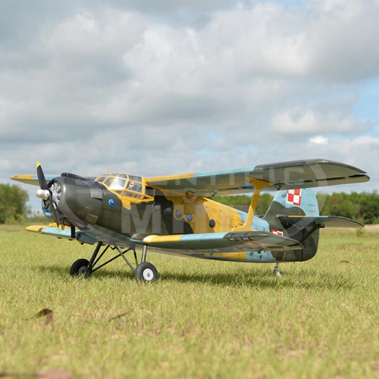 BOOMERANG Trainer 25 EP ARF radiocontrolled electric plane