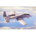 Maquette d'avion en plastique N/AWA-10A Thunderbolt II 1/48