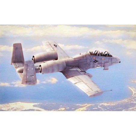 Maquette d'avion en plastique N/AWA-10A Thunderbolt II 1/48