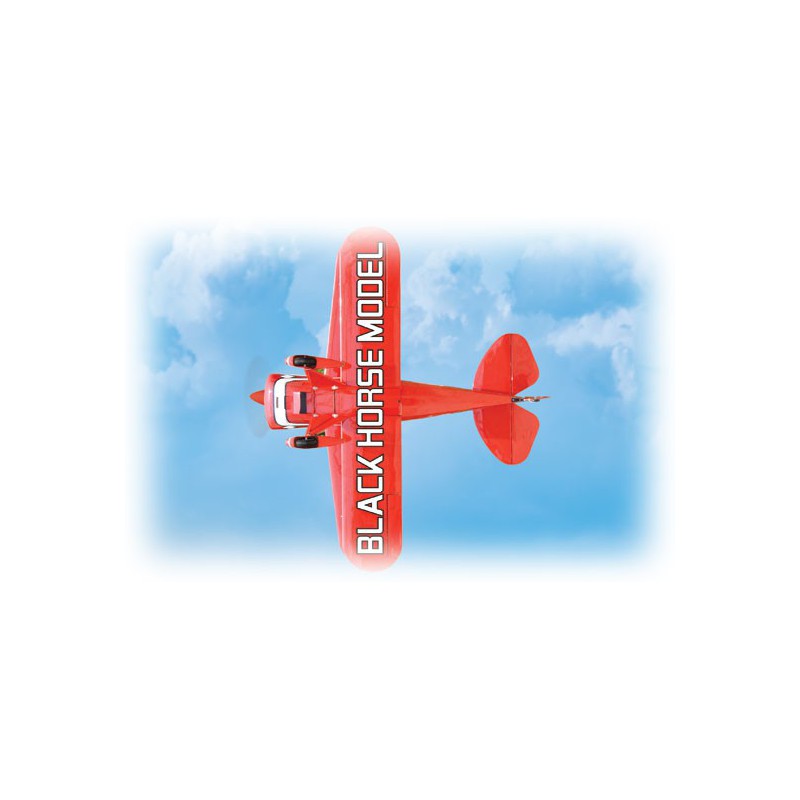 Avion thermique radiocommandé PITTS 91 ARF V2