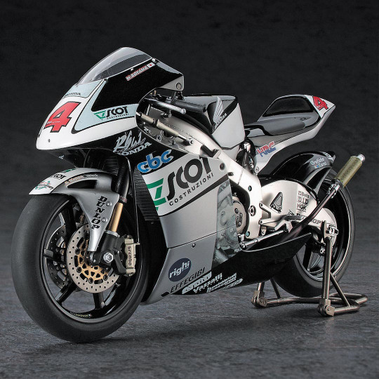 Maquette plastica della...