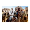 Arab figurising Arab Camel Riders | Scientific-MHD