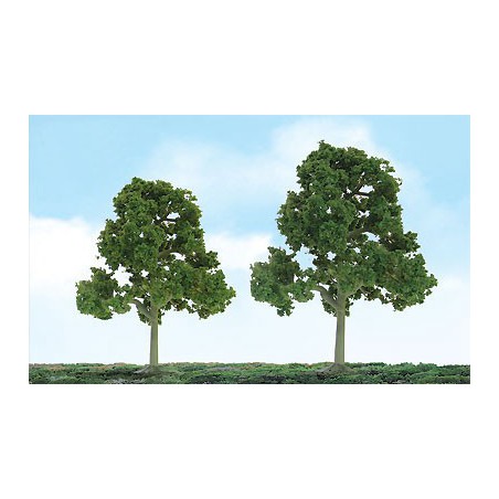 Baumbaum mit Laubblättern 75 bis 87 mm - Loch | Scientific-MHD