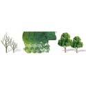 Tree with deciduous leaf trees 37 to 75mm - scale n | Scientific-MHD