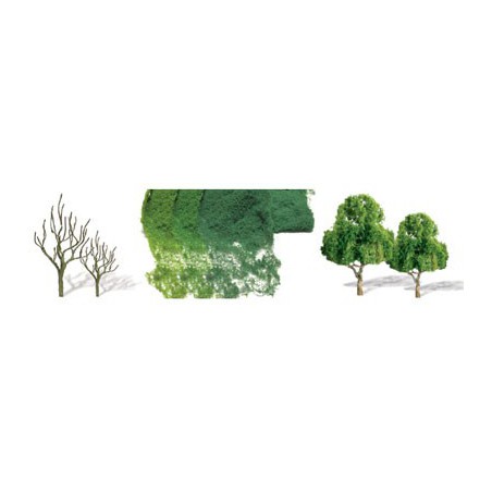 Tree with deciduous leaf trees 37 to 75mm - scale n | Scientific-MHD