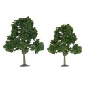 Tree with deciduous leaf trees 50 to 62mm - scale n | Scientific-MHD