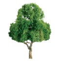 Baum mit Laubblattbäumen 50 mm - Skala n | Scientific-MHD