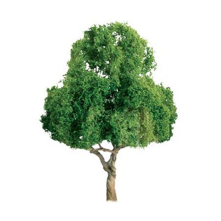 Baum mit Laubblattbäumen 50 mm - Skala n | Scientific-MHD