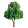 Tree with deciduous leaf trees 50mm - scale n | Scientific-MHD