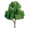 Tree tree with deciduous leaves 75mm - Hole lade | Scientific-MHD
