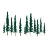 Tree Assortment of conifers 63 to 127mm - Ho | Scientific-MHD