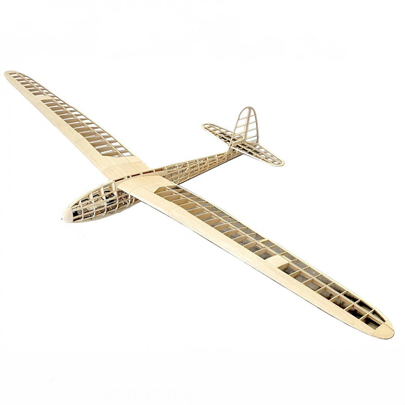 Lippisch G108 radio controlled glider kit