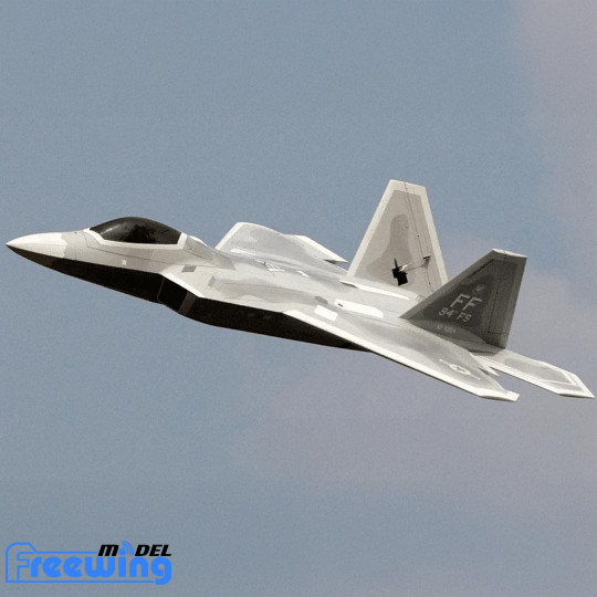 Avion Jet RC F-22 Raptor 8S...