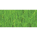 Light green grossing herb foliaings - 490cc | Scientific-MHD