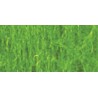 Foliages herbes BROUSSAILLE VERT CLAIR - 490cc