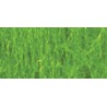 Hellgrüne Bruttozierblätter - 490cc | Scientific-MHD