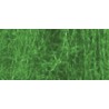 Medium green grossing herb foliage - 490cc | Scientific-MHD