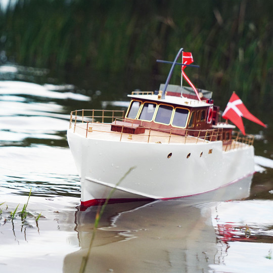 Funkferngesteuertes...