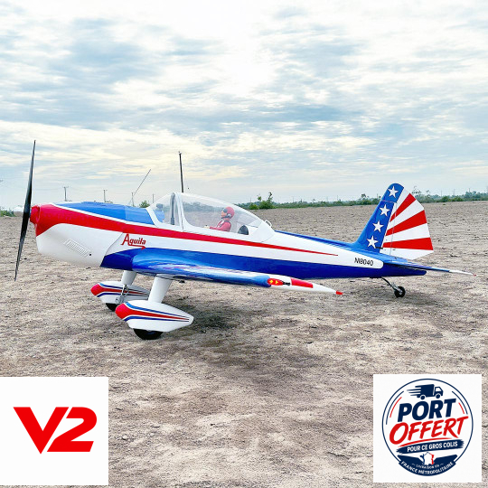 Avion thermique RC Giant...
