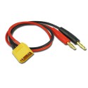 Charger for accusation for radio controlled device Candon XT-90 (5pcs) | Scientific-MHD