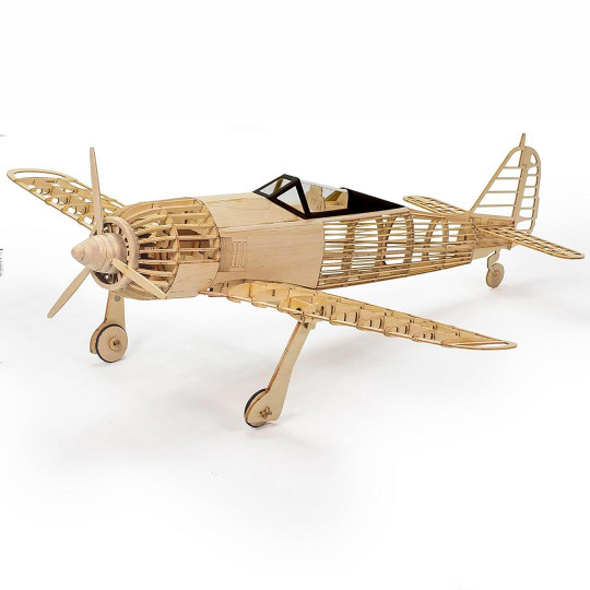 Wooden airplane model...