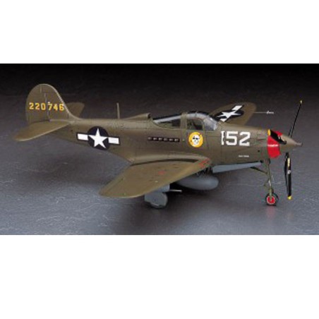 Maquette d'avion en plastique P-39Q/N AIRACOBRA 1/48