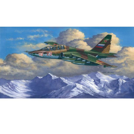 SU-25ub Frogfoot B plastic plane model | Scientific-MHD