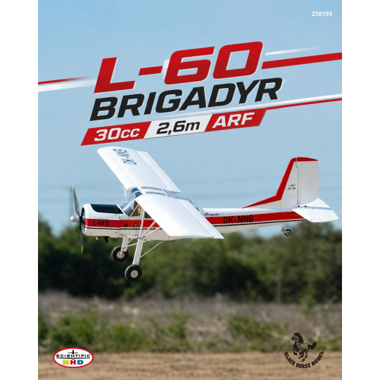 Aereo radiocomandato a...