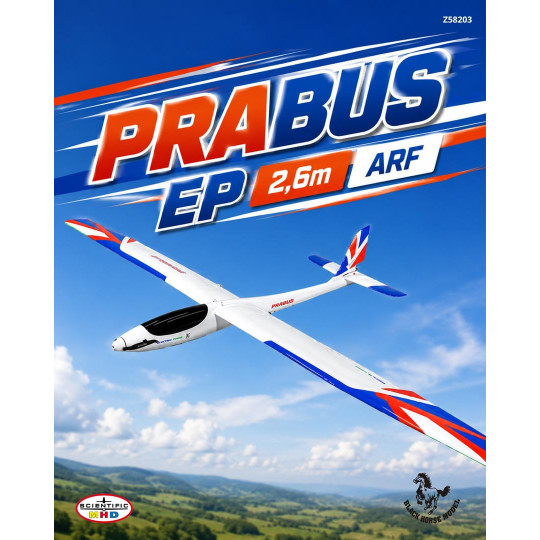 Planeur radiocommandé...