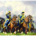 Swedish cavalry figurine Napoleon | Scientific-MHD