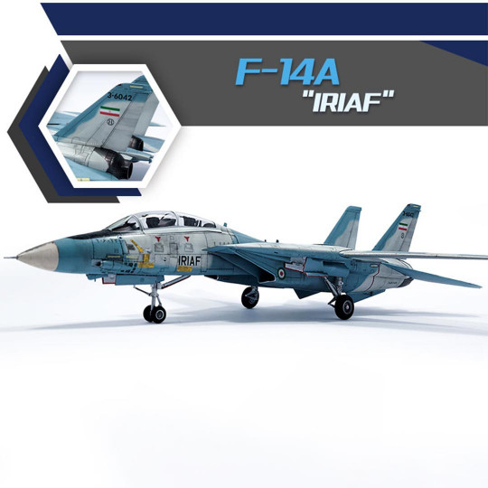 Maquetta de avión F-14A...