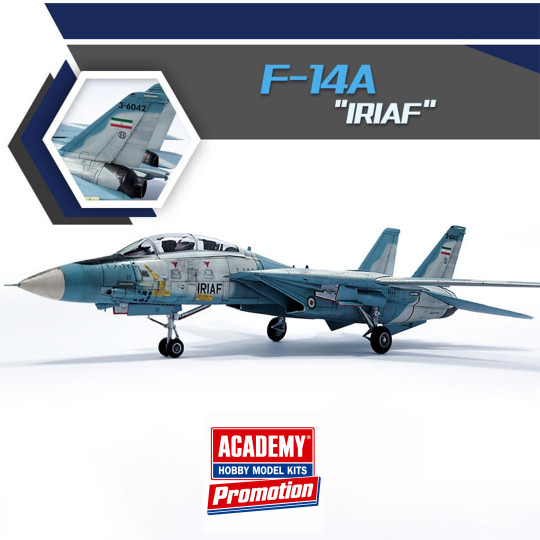 Model of F-14A IRIAF 1/72...