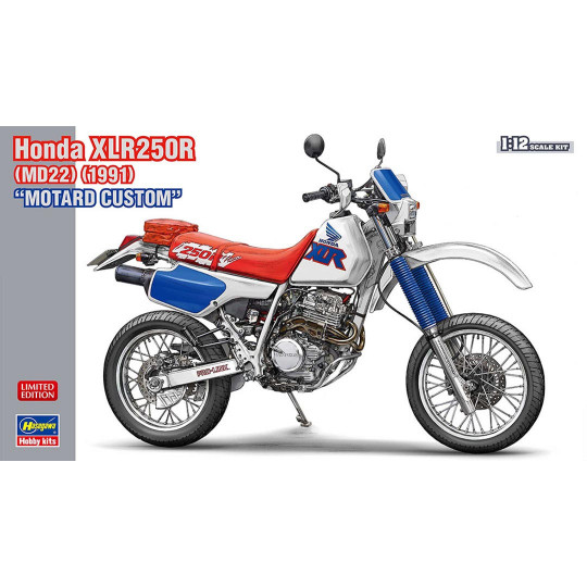 Model plastic of motorcycle...