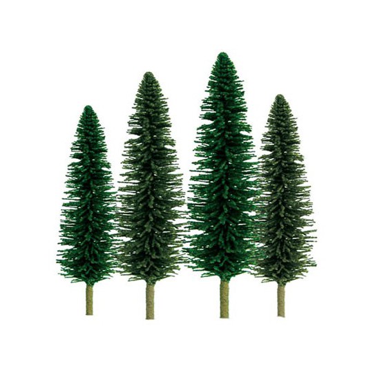 Arbre CEDRES 100 à 150mm. ECHELLE HO