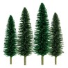 Cedres 50 to 100mm tree. Fload n | Scientific-MHD