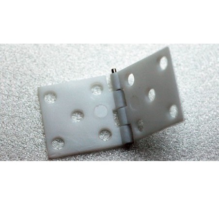 Eingebettetes Zubehör 34x16mm -Baugruppen (100 Teile) | Scientific-MHD