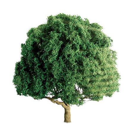 Arbre CHÊNES 75MM - ECHELLE HO