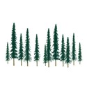 Conifers tree 50 to 100mm. Fload n | Scientific-MHD