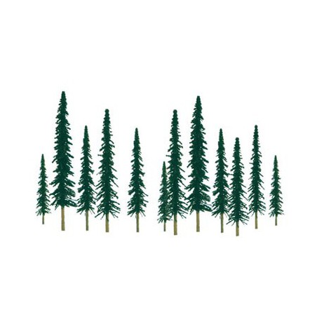 Conifers tree 50 to 100mm. Fload n | Scientific-MHD