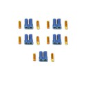 EC5 Rediocmanded Radio -Smoke EC5 weiblicher Gold (5 PCs) Ladegerät (5 PCs) | Scientific-MHD