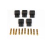Terx male (5 pcs) | Scientific-MHD