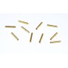 Charger for accusation of radio controlled cylindrical contacts 2mm or female cylindrical contacts (100 pcs) | Scientific-MHD