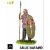 Gallic 1/32 war band figurine | Scientific-MHD